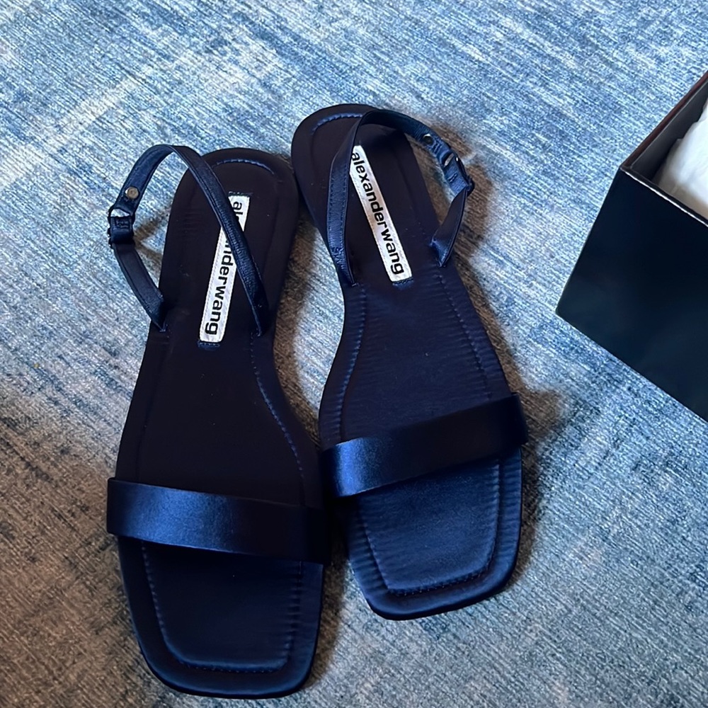 Alexander Wang sandals brand new never worn